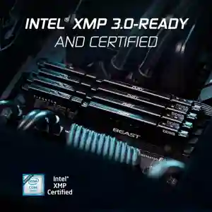 Kingston FURY Beast Black EXPO DDR5 32GB (2x16GB) 6000MHz Desktop Memory